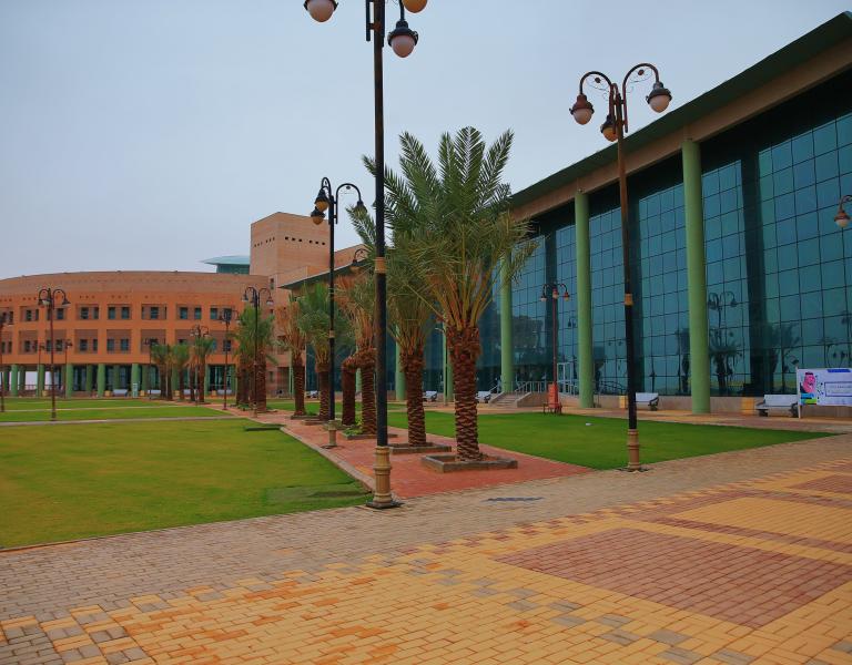 Faculty of Nursing | North Border University